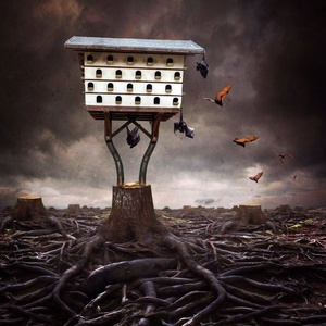 Gallery of Photomontages by Sara Dermeer - USA